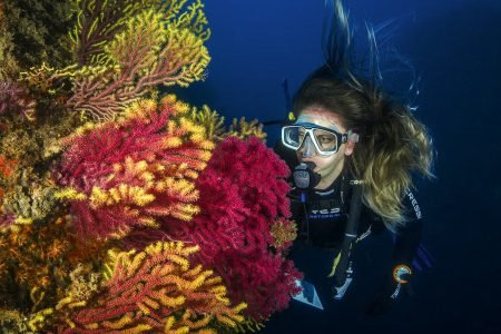 Scuba Diving With Watersport Grand Island